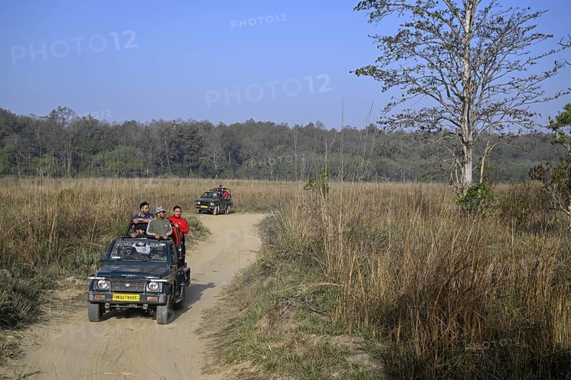 Safari vehicles, Gypsys, Corbett National Park, near Ramnagar, Uttarakhand State, India