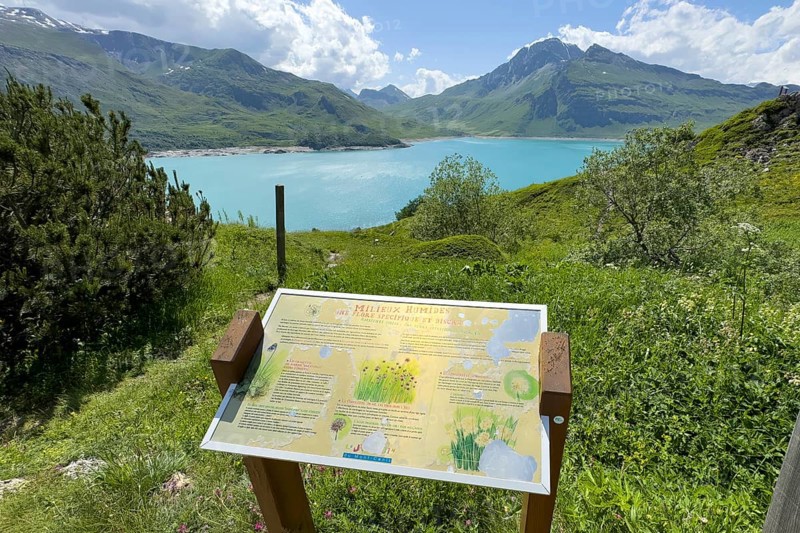 In the foreground information board with explanations about Jardin Alpin, in the background Lac du Mont Cenis reservoir, Mont Cenis massif, Massif du Mont-Cenis, Graian Alps, Lanslebourg, Rhone-Alpes, France