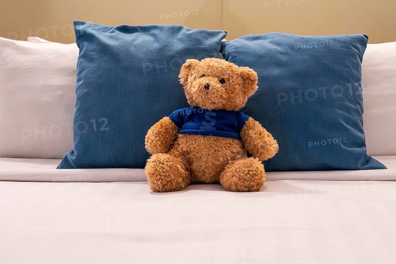 Double bed plush bear