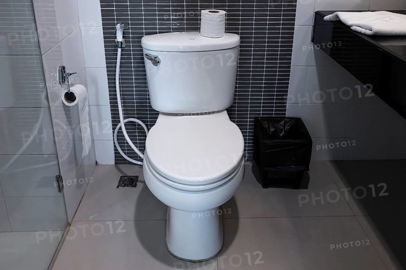 Bath Toilet