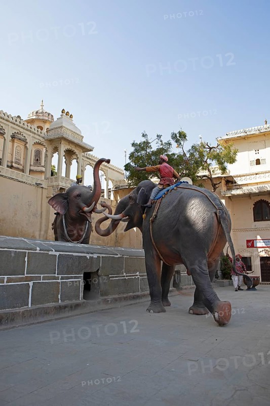 Living elephant sculptures in the City Palace, Udaipur, Rajasthan, India