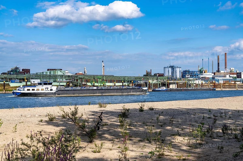 Low water of the Rhine near Leverkusen, Rhine bank, left bank of the Rhine, near Cologne-Merkenich, opposite Chempark Leverkusen, cargo ship on the Rhine, extremely low water level, no restrictions on inland navigation yet, North Rhine-Westphalia, Germany