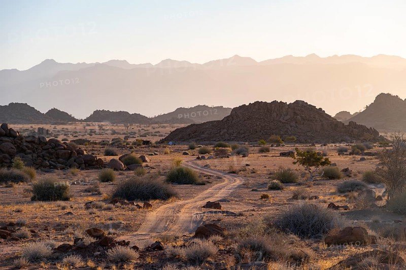 Sandy track, desert landscape in the evening light at sunset, backlit, Brandberg, Erongo, Damaraland, Namibia