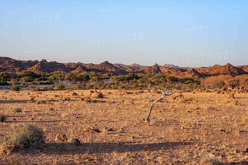 Desert landscape in the evening light at sunset, barren landscape with hills of stacked rocks, Erongo, Damaraland, Namibia