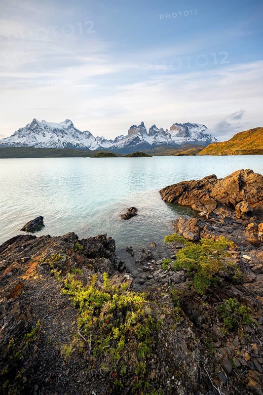 Shore of the blue lake Lago Pehoe in the evening light, Cuernos del Paine mountain range, Torres del Paine National Park, Chile