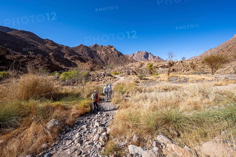 Tourists on a hiking trail in the Tsisab Gorge, White Lady Trail, desert landscape, Brandberg, Erongo, Damaraland, Namibia