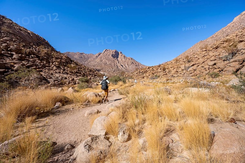 Tourist on a hiking trail in the Tsisab Gorge, White Lady Trail, desert landscape, Brandberg, Erongo, Damaraland, Namibia