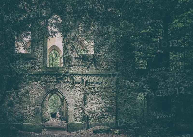 Ruins of a Gothic chapel in the forest near Greifenstein Castle, Heiligenstadt in Upper Franconia, Franconia, Bavaria, Germany
