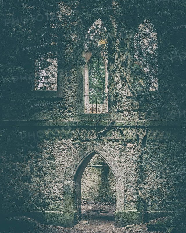 Ruins of a Gothic chapel in the forest near Greifenstein Castle, Heiligenstadt in Upper Franconia, Franconia, Bavaria, Germany