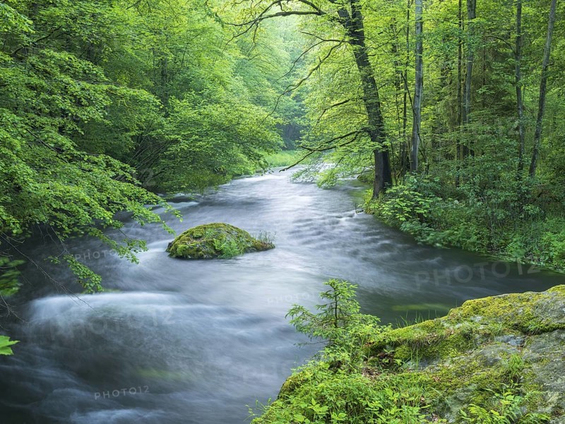 White water and rapids on the Trieb stream in the Triebtal nature reserve in Vogtland, Plauen, Saxony, Germany