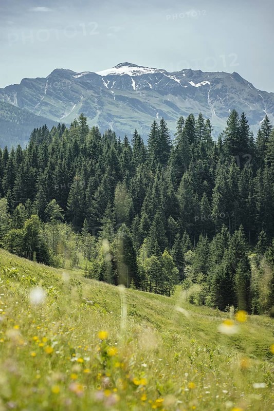 View of Ritterkopf, Kolm Saigurn, Rauris, Pinzgau, Salzburg, Austria