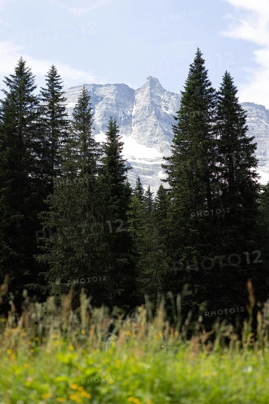View of the Hoher Sonnblick, Rauris, Pinzgau, Salzburg, Austria