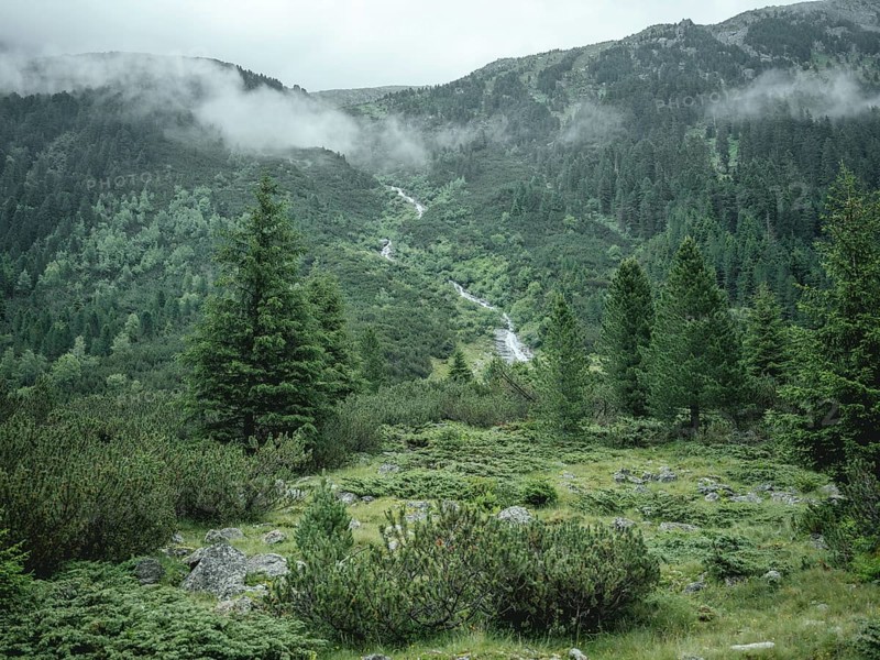 Windbachtal, Krimmler Tauern, Pinzgau, Salzburg, Austria