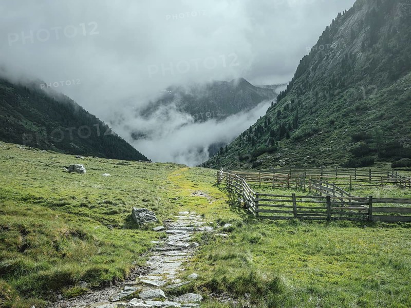 Historic mule track, Windbachtal, Krimmler Tauern, Pinzgau, Salzburg, Austria