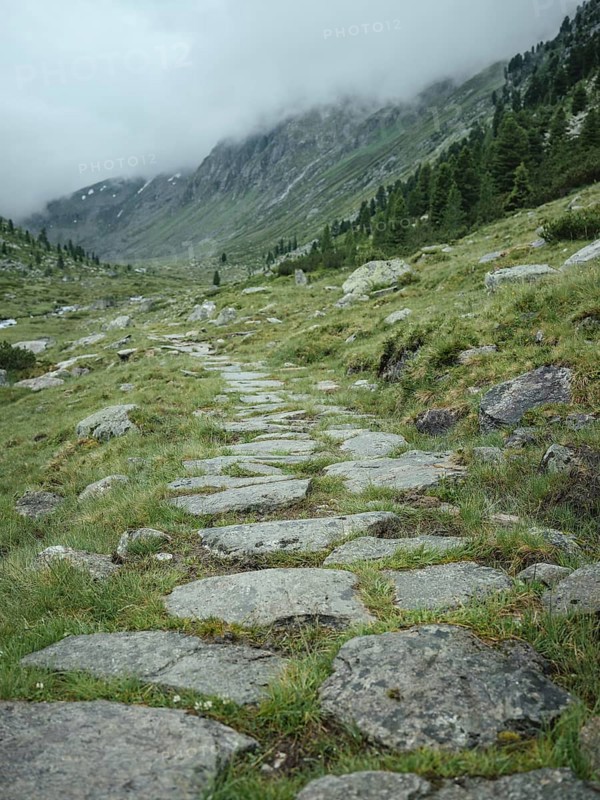 Historic mule track, Windbachtal, Krimmler Tauern, Pinzgau, Salzburg, Austria