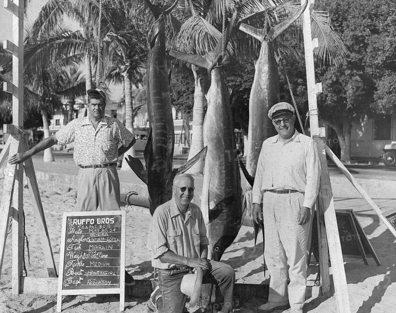 Striped marlin (Kajikia audax), three sport fishermen in la Paz, Baja California Sur, 1954