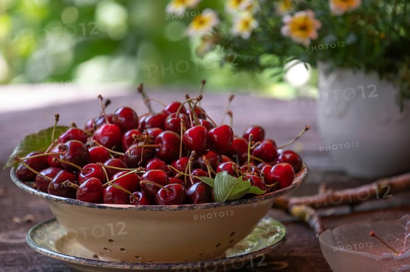 Fresh sweet cherries (Prunus avium) in a bowl, Bavaria, Germany