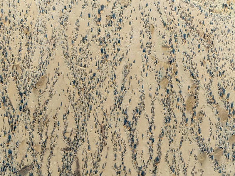 Arid desert plain and dried-up riverbeds with sparse vegetation. Aerial view. Drone shot. Namibia