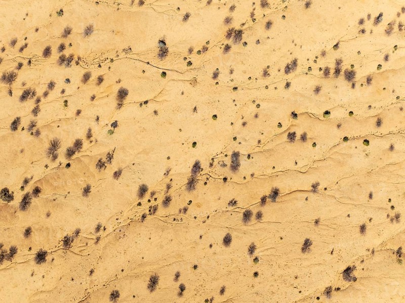 Arid desert plain with sparse vegetation. Aerial view. Drone shot. Namib Desert, Namibia