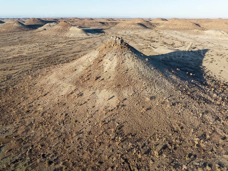 Quiver Tree (Aloidendron dichotomum). At the slope of a conical rock, a so-called Prince Albert formation. Aerial view. Drone shot. Southern Namibia
