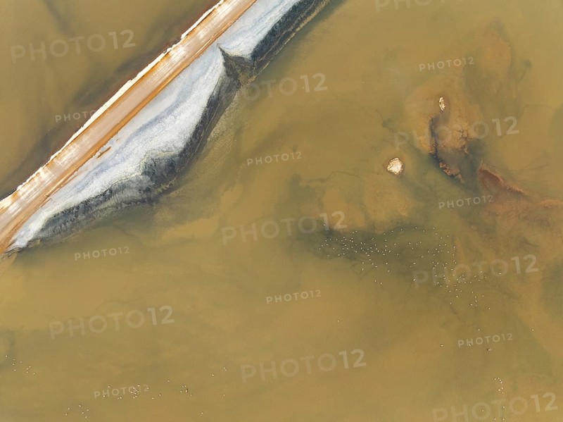 Salt road and Greater Flamingos (Phoenicopterus ruber) at the Walvis Bay Lagoon. Aerial view. Drone shot. Namibia