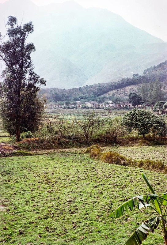 Farmland countryside, Tai Tei Tong village, Silver Mine Bay Mui Wo, Lantua Island, New Territories, Hong Kong, Asia 1964