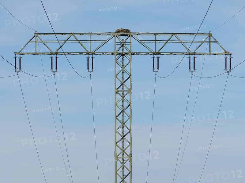 An osprey nest on a power pole, Mecklenburg-Western Pomerania, Müritz region, Germany