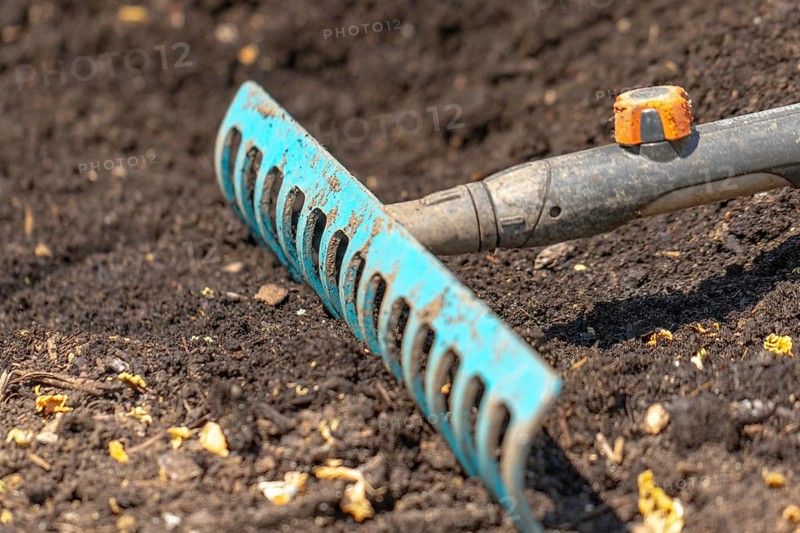 A blue rake lies in dark garden soil