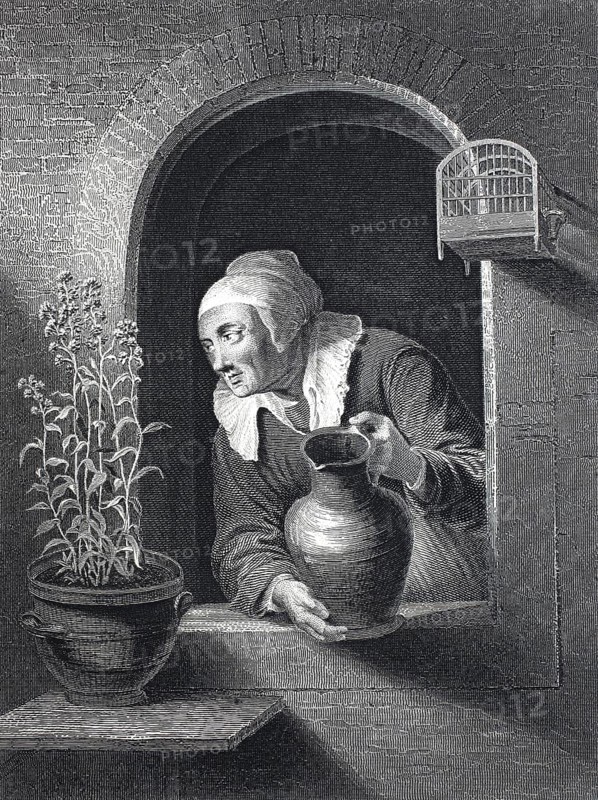 Elderly woman watering a flowering plant in front of a window, steel engraving after a painting by G. Dow, Historic, digitally restored reproduction of a 19th century original, A woman looks out of a window with a jug, next to a plant and an empty birdcage