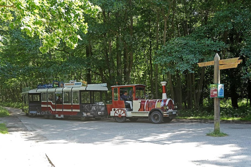 Bimmelbahn, Darßbahn, Darßer Ort stop, Born a. Darß, Vorpommersche Boddenlandschaft National Park, Mecklenburg-Vorpommern, Germany