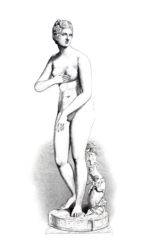 Venus Medici is an antique statue of the type of Venus pudica, the prudish Venus, exhibited in Florence, historical, digitally restored reproduction of a 19th century model