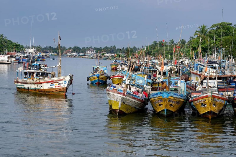 Fishing boats in Negombo river harbor, Sri Lanka