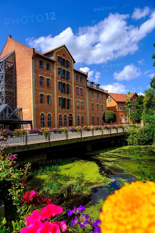 Little Venice, historic canals, on the River Oker, Wolfenbüttel, Lower Saxony, Germany