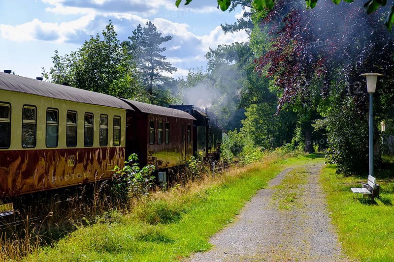 Steam locomotive, Harzquerbahn, near Elend, Harz, Saxony-Anhalt, Germany