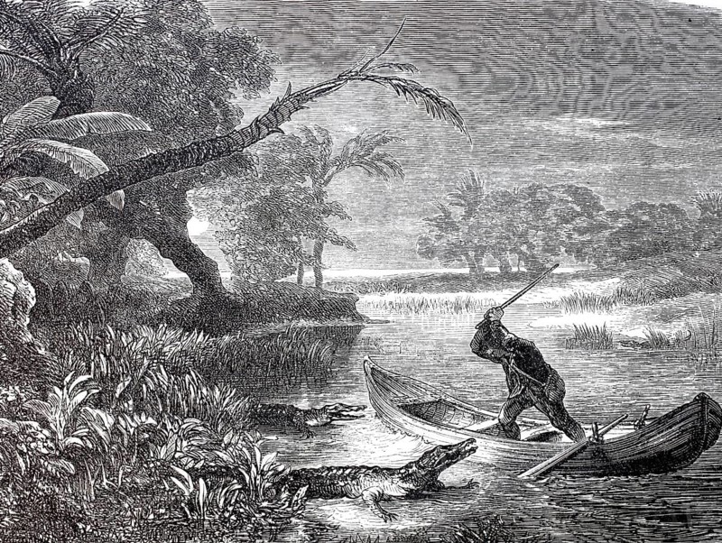 Man in a rowing boat strikes an attacking crocodile with a stick, 1880, Brazil, digitally enhanced reproduction of a 19th century model, historical, exact date unknown