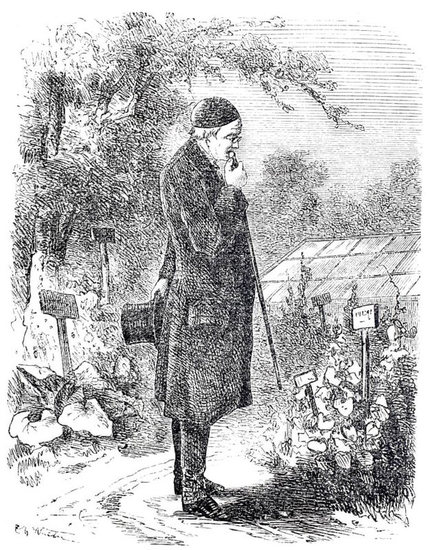 The cane and its use, A scholar's cane, Historical, digitally enhanced reproduction of a 19th century model