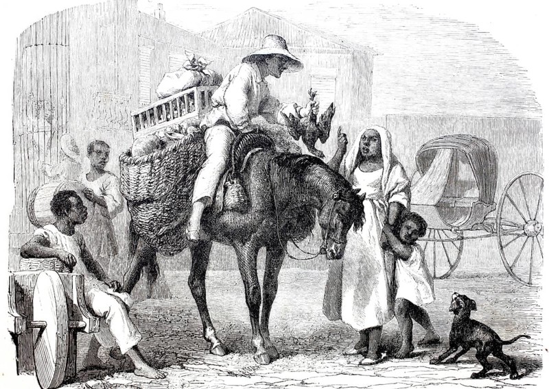 A fruit and poultry merchant in Cuba in 1870, digitally enhanced reproduction from a 19th century original, historical, exact date unknown