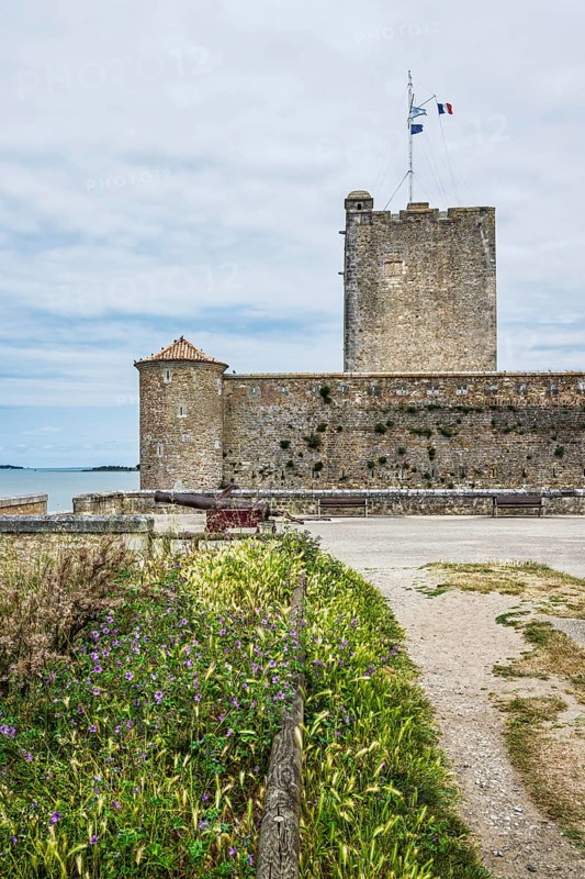 Castle Fouras, Fouras-les-Bains, Charente-Maritime, Nouvelle-Aquitaine, France
