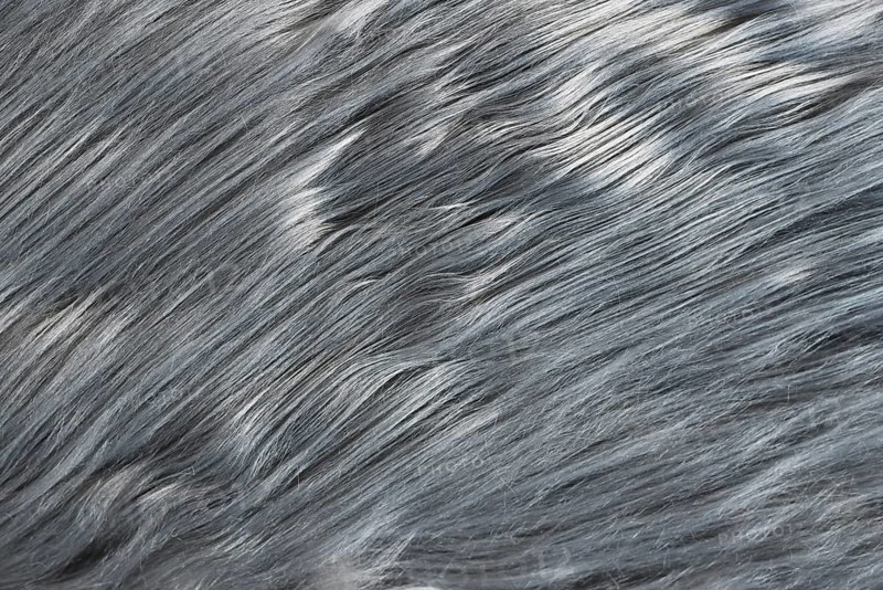 Close up of silky gray synthetic fake fur