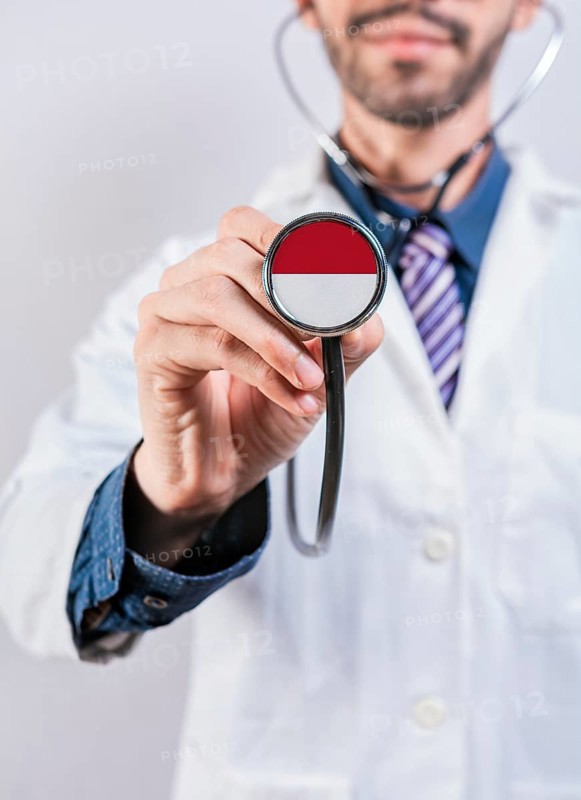 Monaco health and medical insurance concept. Monaco healthcare system, doctor holding stethoscope