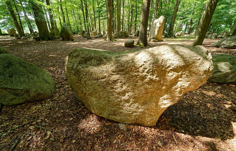 Erratic blocks in the Neuenknick erratic block forest in the Teutoburg Forest. Around 2000 of the ice-age relics have been brought together in a collection. The erratic boulder forest includes a nature discovery trail and is equipped as a leisure and recreation centre. Petershagen, North Rhine-Westphalia. Germany