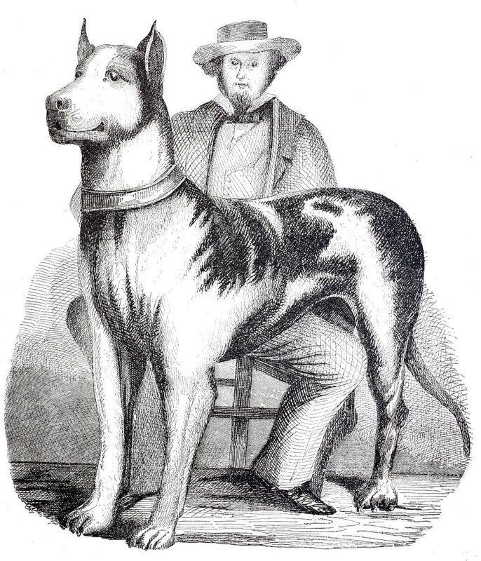 Great American Mastiff, dog with its owner, 1875, digitally enhanced reproduction from a 19th century original, historical, exact date unknown