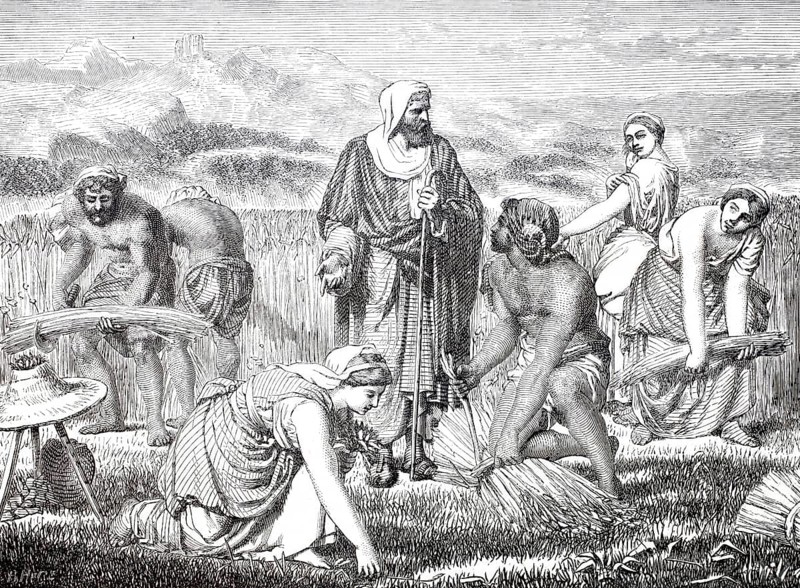Biblical story, Ruth and Boaz as reapers, grain harvest, Ruth throws herself humbly to the ground in front of Boaz, 1875, digitally enhanced reproduction from a 19th century original, historical, exact date unknown