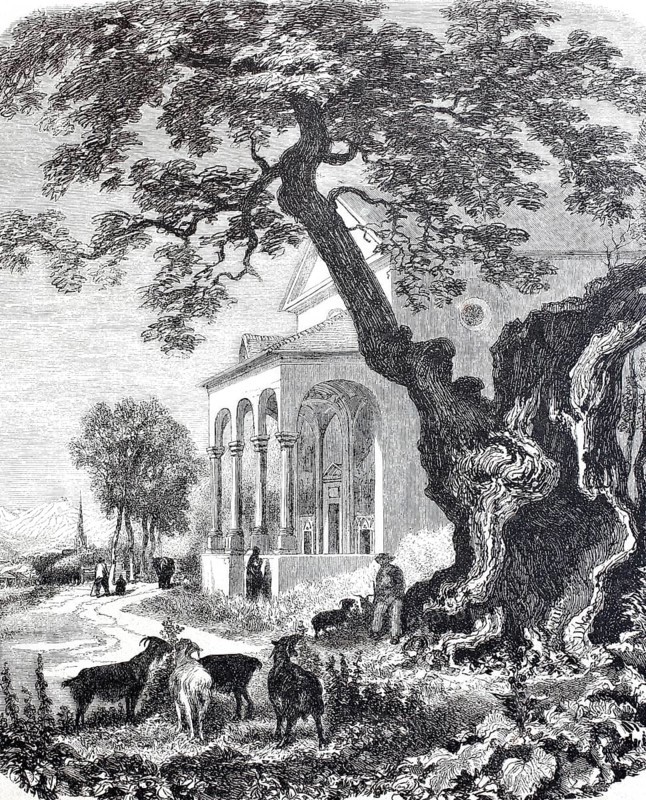 Chapel near Trons, Disentis in the canton of GraubÃ¼nden, 1876, in front of it an ancient maple tree, Switzerland, digitally enhanced reproduction from a 19th century model, historical, exact date unknown
