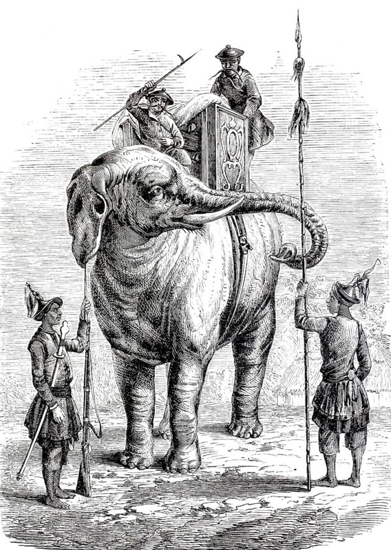 War elephant in India, 1870, power element of the Asian armies, digitally enhanced reproduction from a 19th century model, historical, exact date unknown