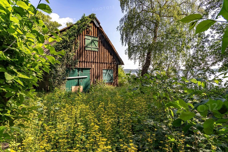 Abandoned hut on the Prinzeninsel in the GroÃŸer Plöner See near Plön, Schleswig-Holstein, Germany