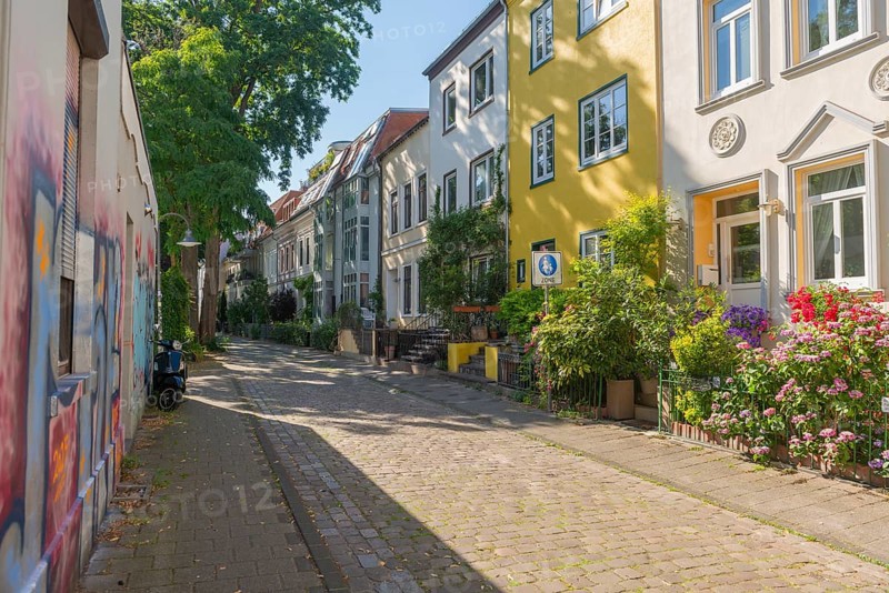 Residential street in the Ostertor neighbourhood a popular residential area, eastern suburb, Wilhelminian style building, cobblestones, stairs to the entrance, traffic-calmed, flowering plants, trees, footpath, graffiti, facades, Bremen, Germany