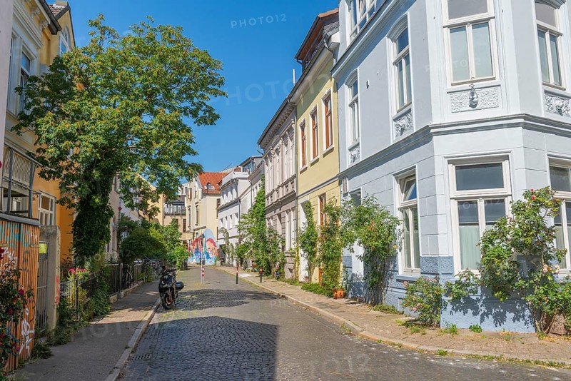 Residential street in the Ostertor neighbourhood a popular residential area, eastern suburb, Wilhelminian style building, row of houses, traffic-calmed, green facades, trees, sunshine, Bremen, Germany
