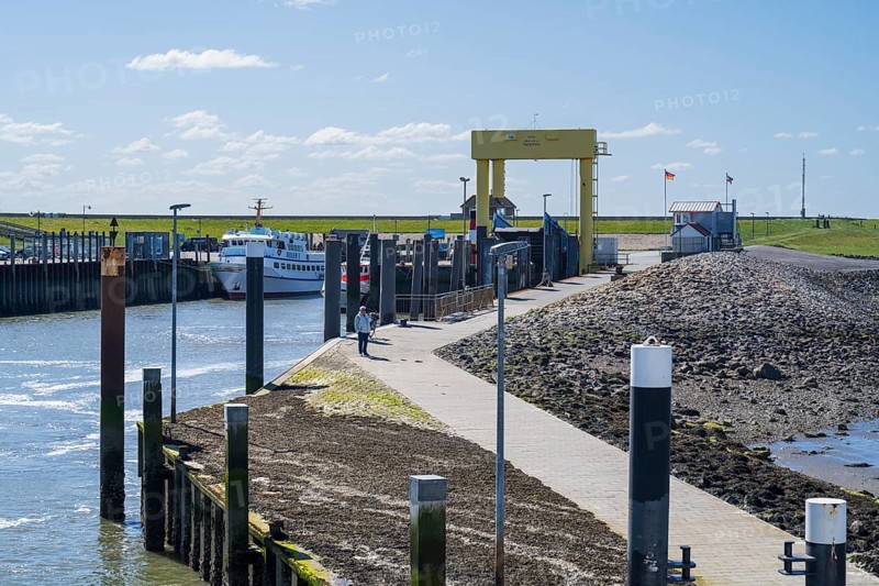 Jetty, harbour, Nordstrand, North Frisia, North Sea, Schleswig-Holstein, Germany
