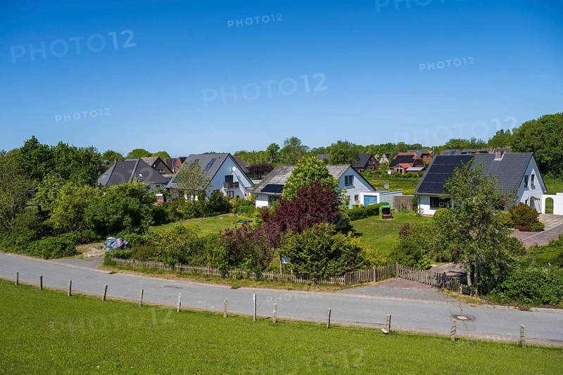 Detached houses in the countryside by the dyke, Tammensiel, Pellworm Island, North Sea, North Frisia, Schleswig-Holstein, Germany